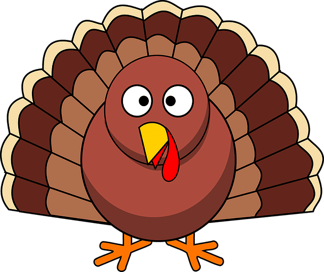 turkey, thanksgiving, poultry